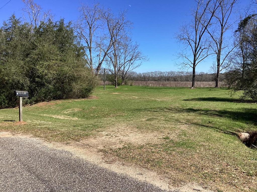 0 Benton Store Road Columbia, AL 36319 - Photo 2 of 24