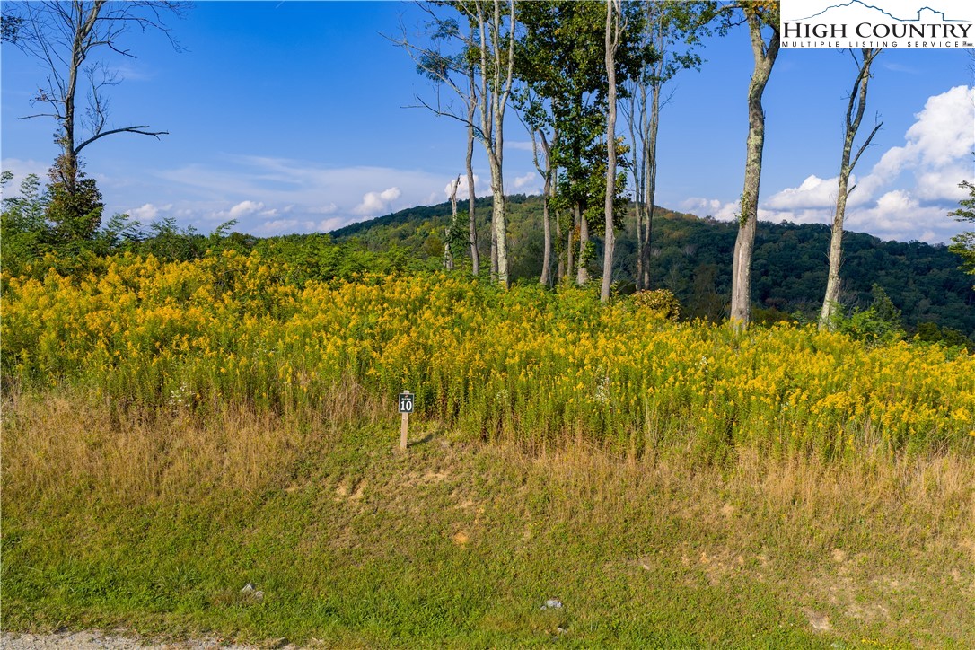 146 Banner Road Southwest Banner Elk, NC 28604 - Photo 11 of 22 a garden view