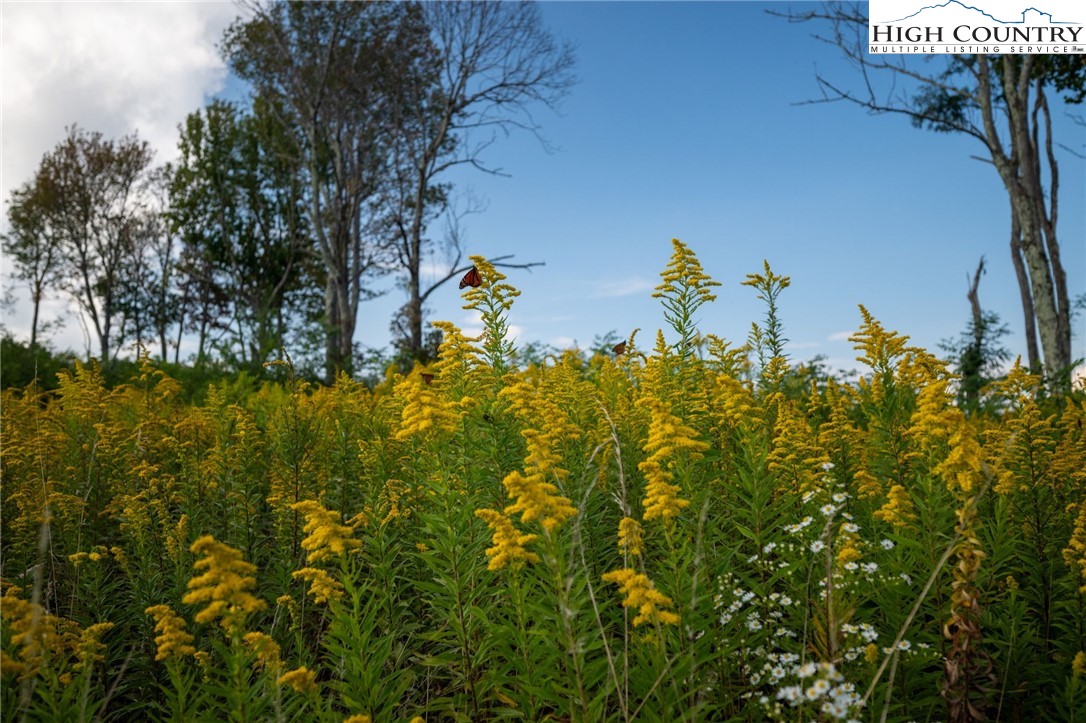 146 Banner Road Southwest Banner Elk, NC 28604 - Photo 14 of 22 a view of a yard