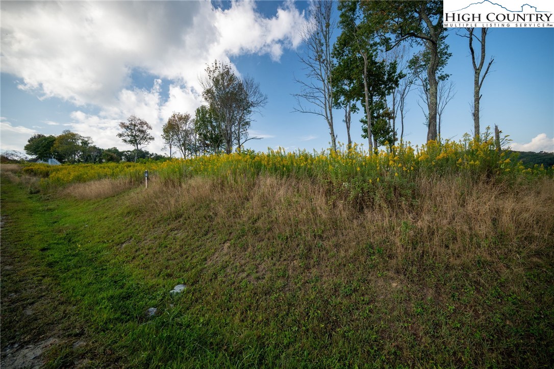 146 Banner Road Southwest Banner Elk, NC 28604 - Photo 19 of 22