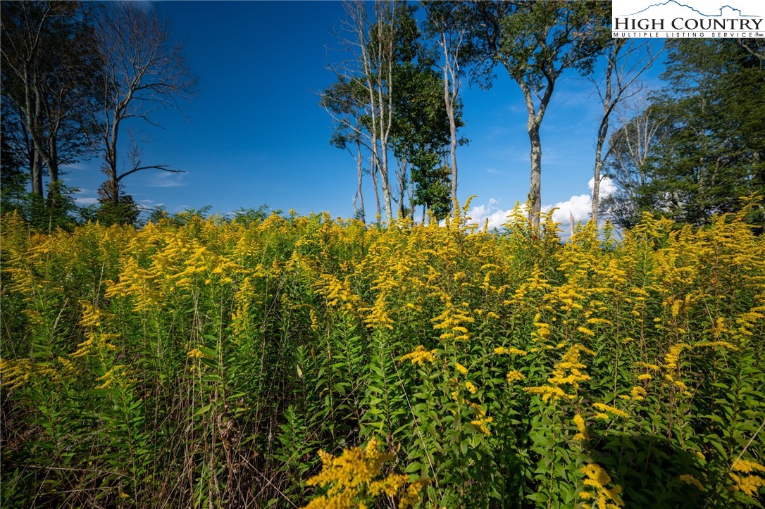146 Banner Road Southwest Banner Elk, NC 28604 - Photo 20 of 22