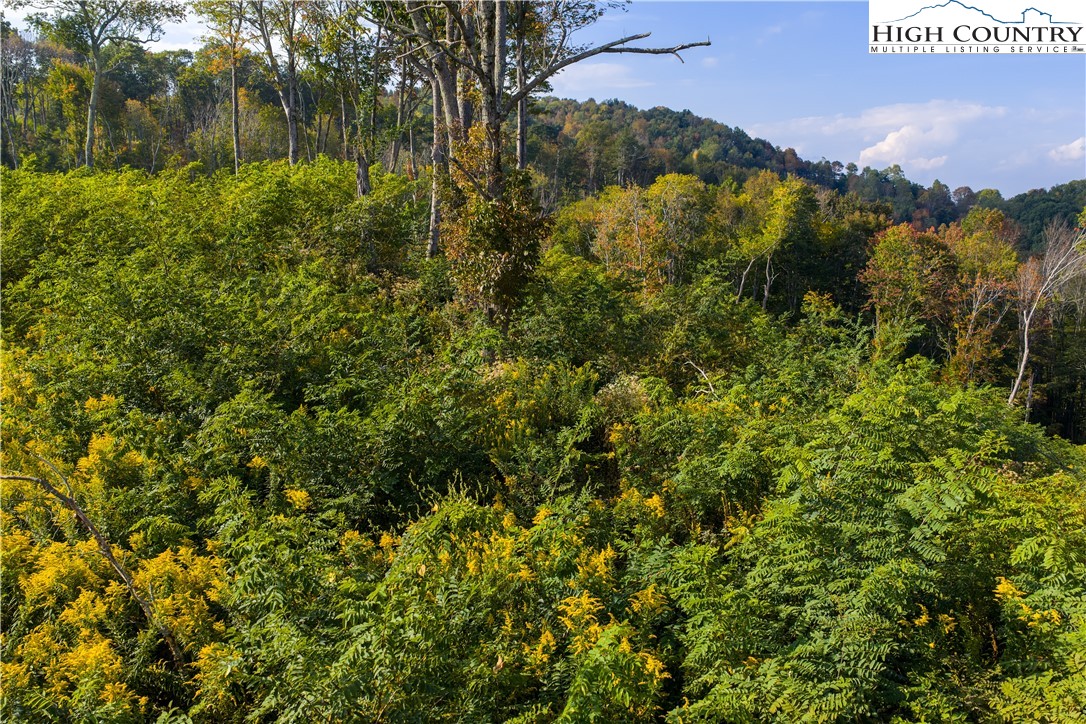 146 Banner Road Southwest Banner Elk, NC 28604 - Photo 21 of 22