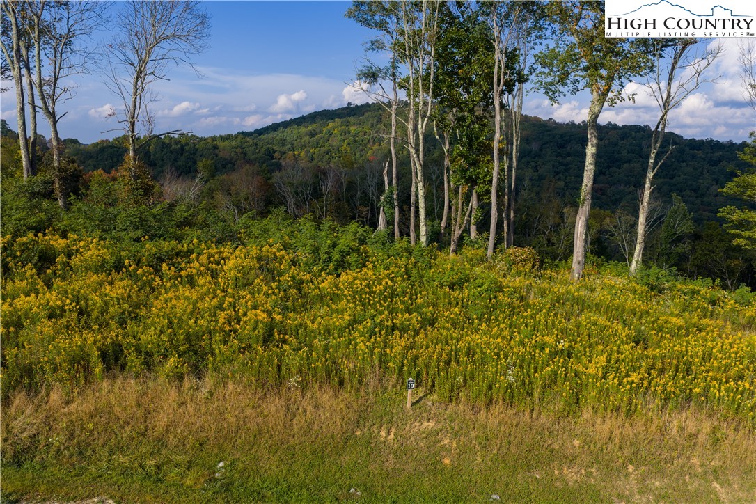 146 Banner Road Southwest Banner Elk, NC 28604 - Photo 4 of 22