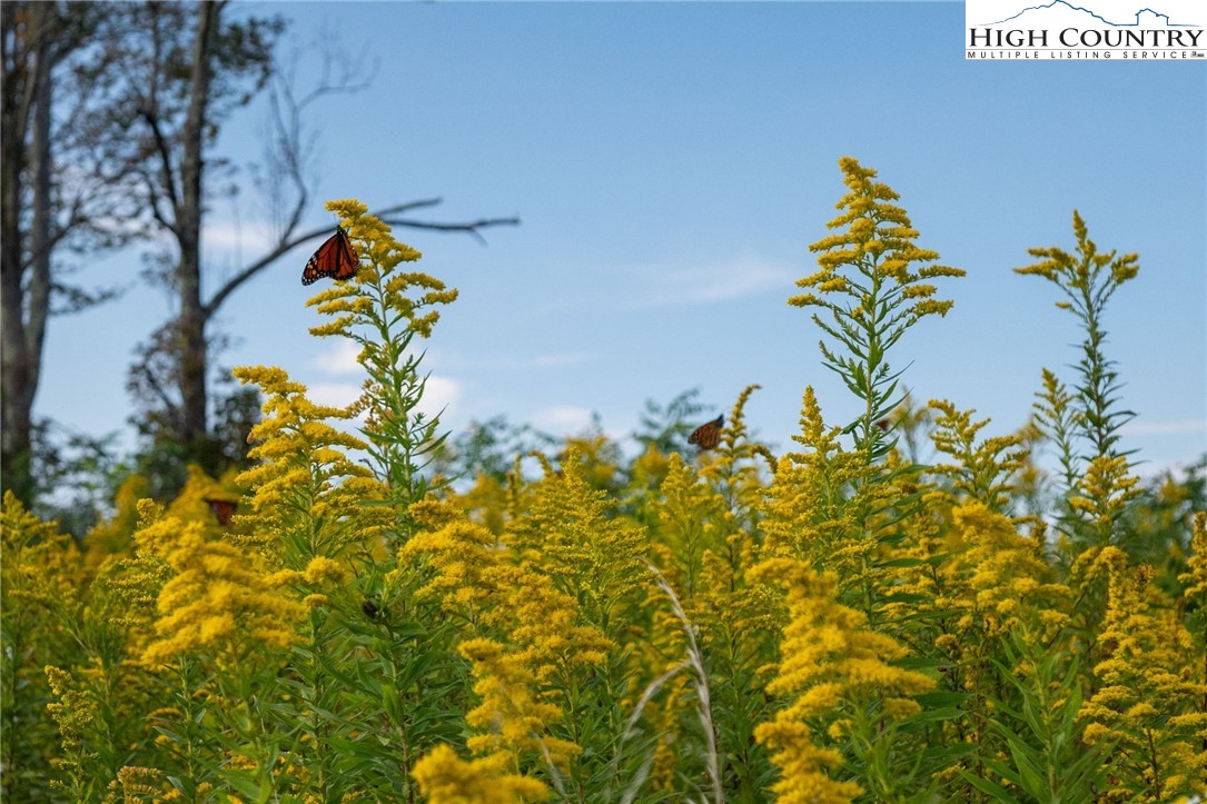 146 Banner Road Southwest Banner Elk, NC 28604 - Photo 5 of 22 view of a lake view