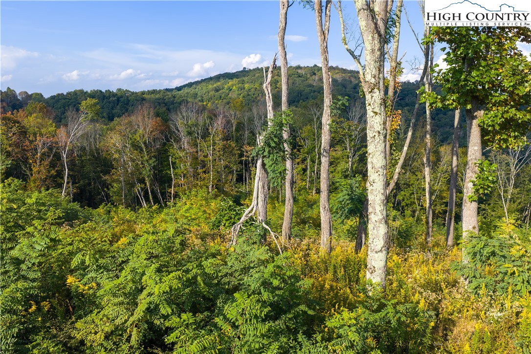 146 Banner Road Southwest Banner Elk, NC 28604 - Photo 8 of 22 a view of a garden