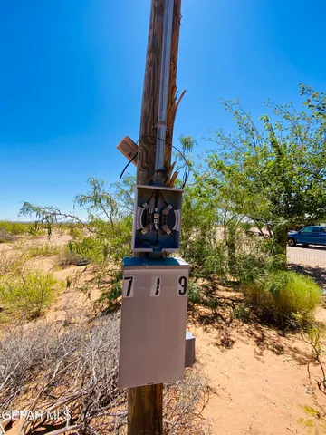 a view of a yard with an outdoor space