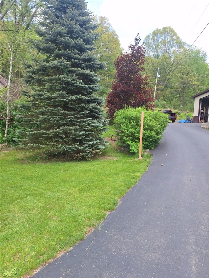 5211 Long Lake Road Reading, MI 49274 - Photo 94 of 99