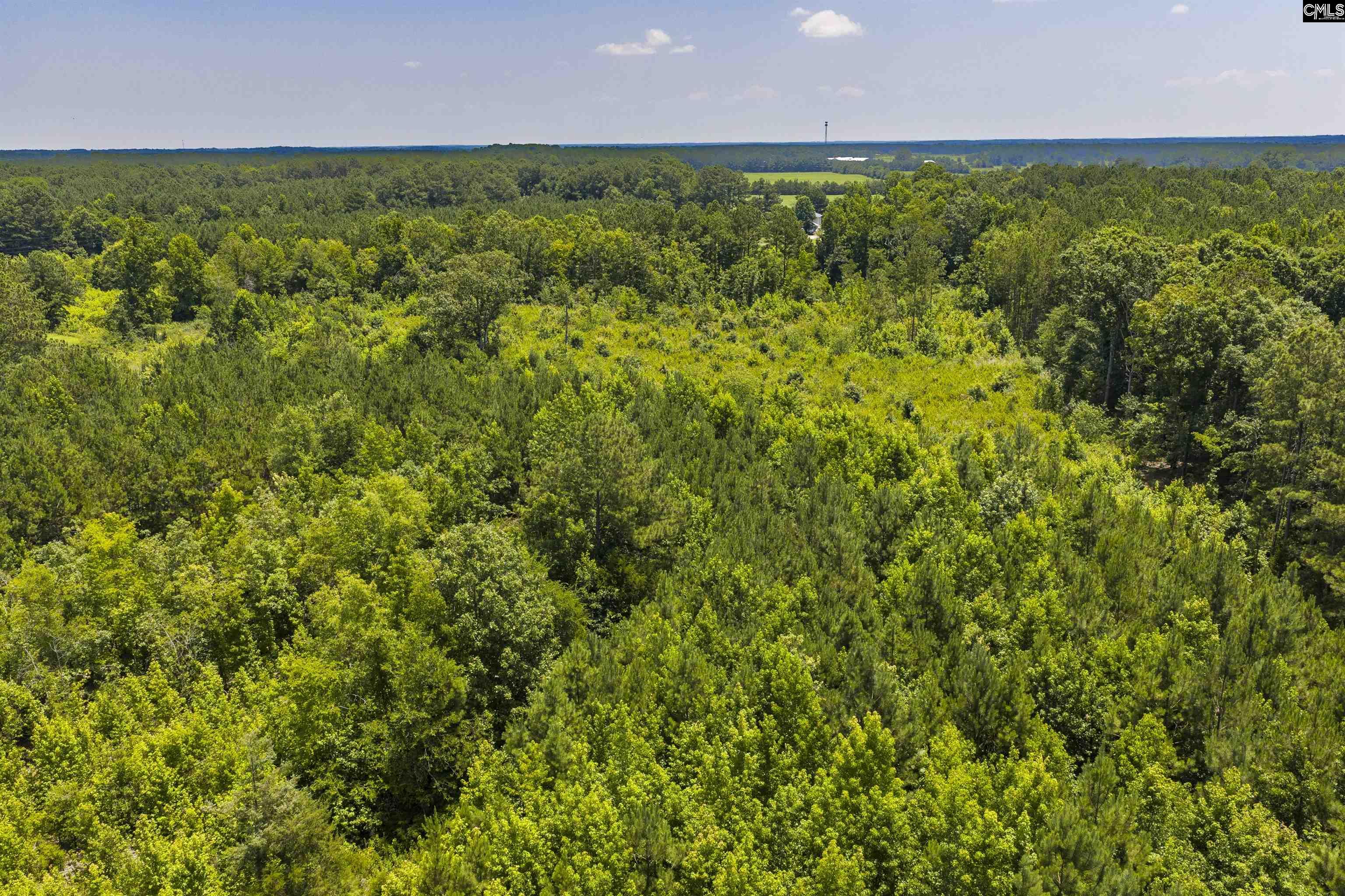 Stevens Road Saluda, SC 29138 - Photo 18 of 23