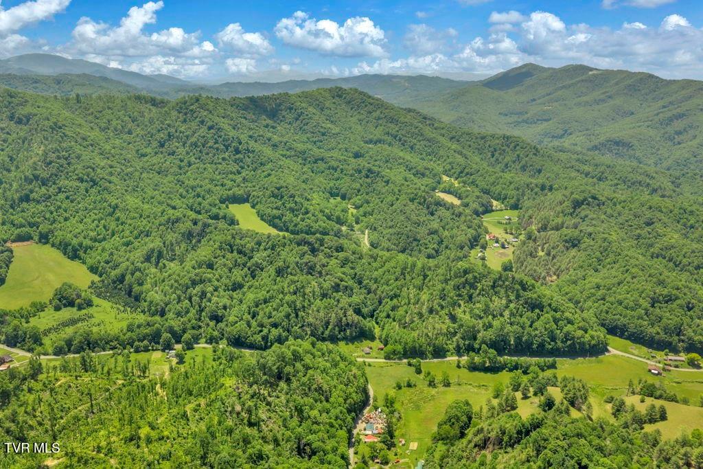 150 Fred Price Road Mountain City, TN 37683 - Photo 33 of 35 36