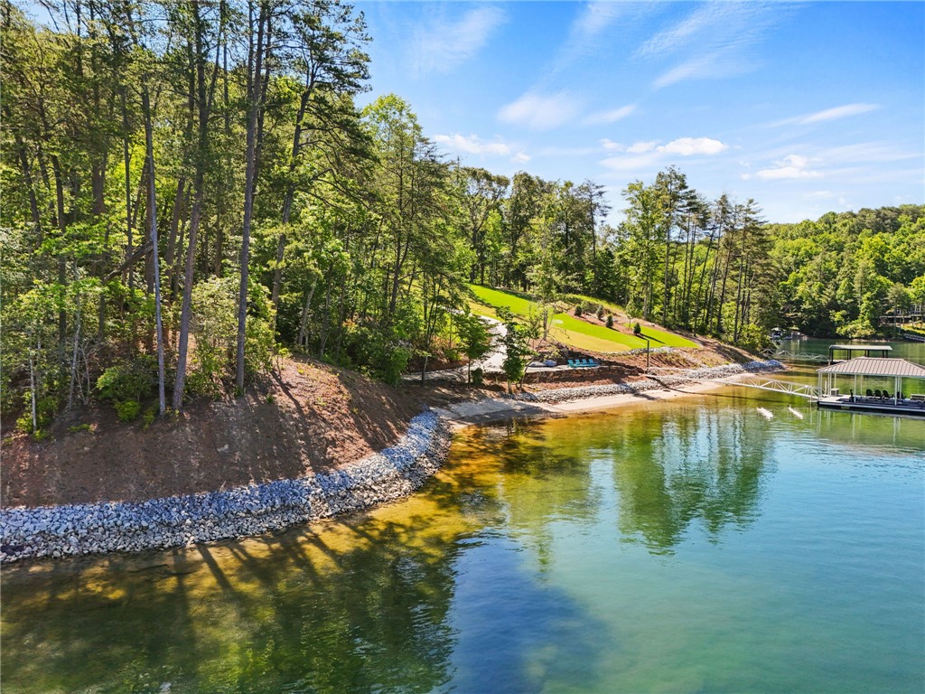 Lot 2 Johnson Drive Sunset, SC 29685 - Photo 5 of 22