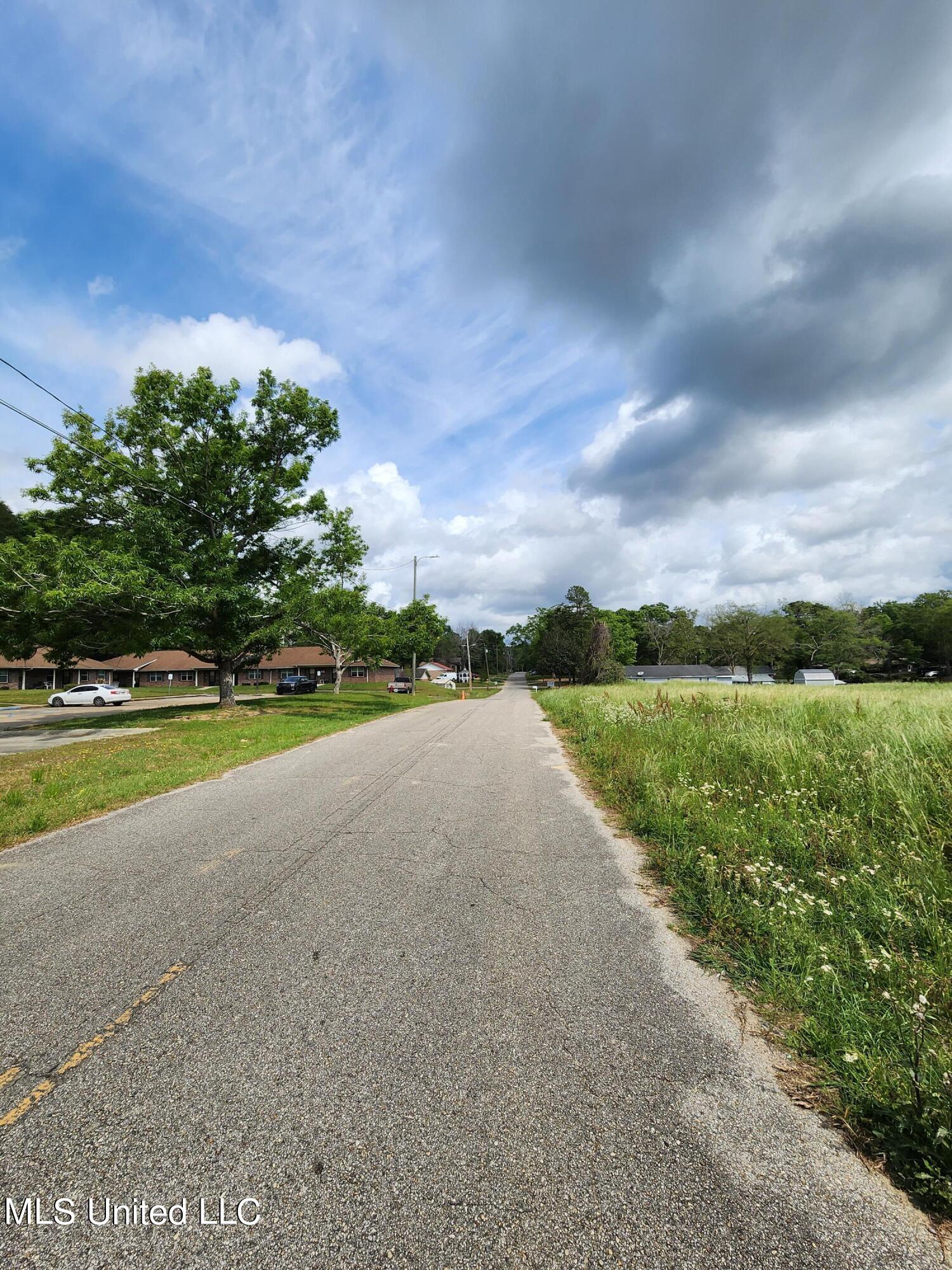 0 Park Street Wiggins, MS 39577 - Photo 2 of 4 20230326_111622