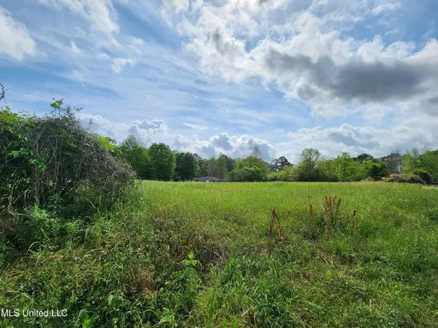 $17,000 | 0 Park Street, Wiggins, MS 39577