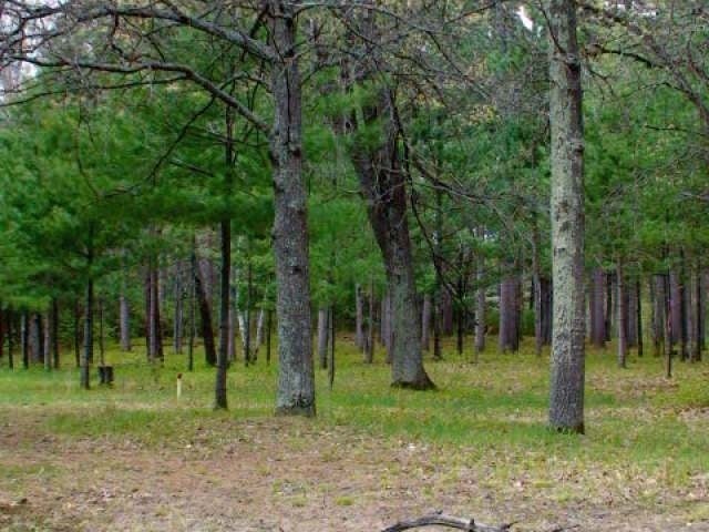 Lot 14 Selmer Road Tomahawk, WI 54487 - Photo 9 of 12 Gallery Image 9