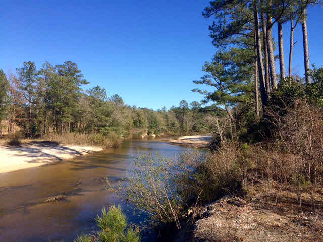 20932 Earl Phillips Road Little River, AL 36550 - Photo 2 of 17