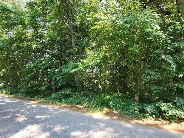a view of a yard with a tree