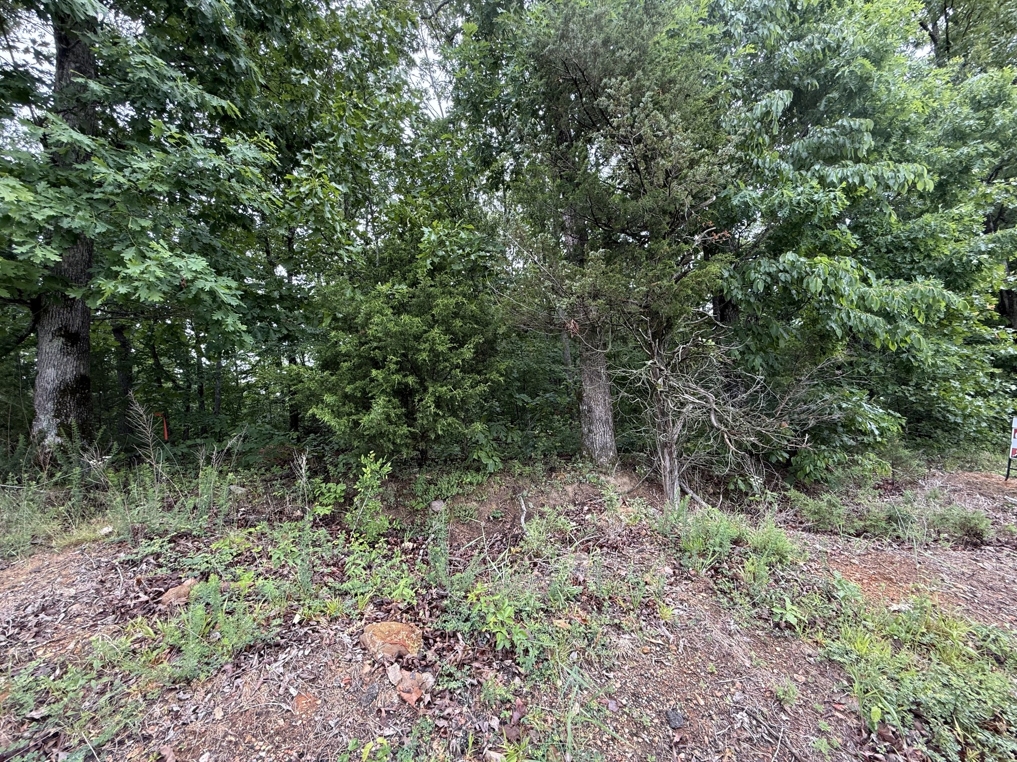 2 Anglin Ridge Road Dover, TN 37058 - Photo 3 of 3
