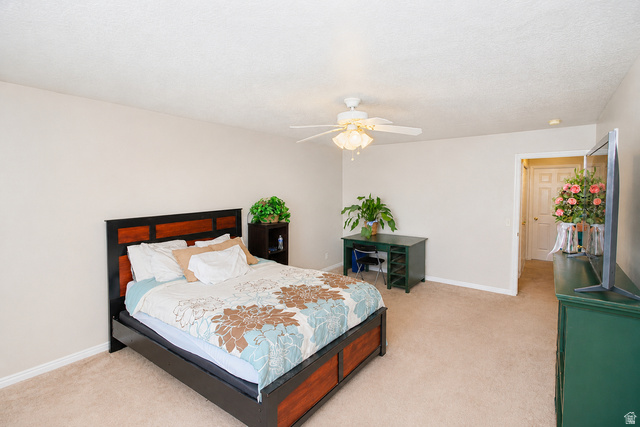 620 North Fairfield Road, Unit 10 Layton, UT 84041 - Photo 9 of 17 Extra large primary suite with walk in closet!