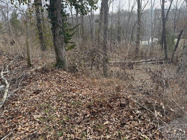 2604 Nike Base Road Catawissa, MO 63015 - Photo 6 of 21