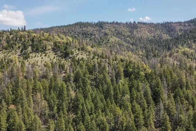 $485,000 | 4298 Little Browns Creek Road, Weaverville, CA 96093