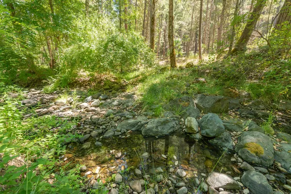 $485,000 | 4298 Little Browns Creek Road, Weaverville, CA 96093