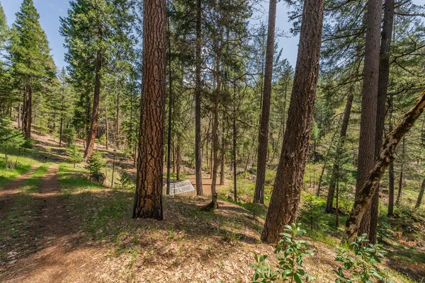 $465,000 | 4298 Little Browns Creek Road, Weaverville, CA 96093
