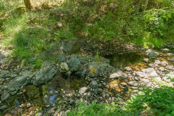 $485,000 | 4298 Little Browns Creek Road, Weaverville, CA 96093