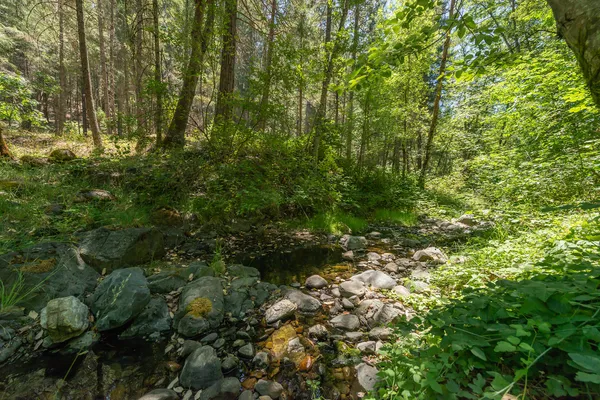 $485,000 | 4298 Little Browns Creek Road, Weaverville, CA 96093