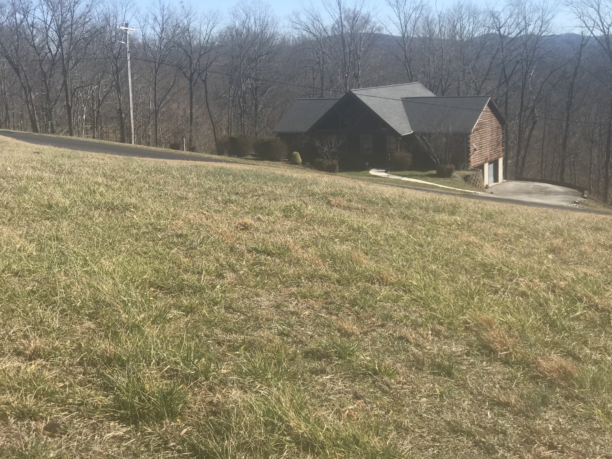 9 A Swan Ridge Road Celina, TN 38551 - Photo 8 of 19 a view of empty room with wooden fence