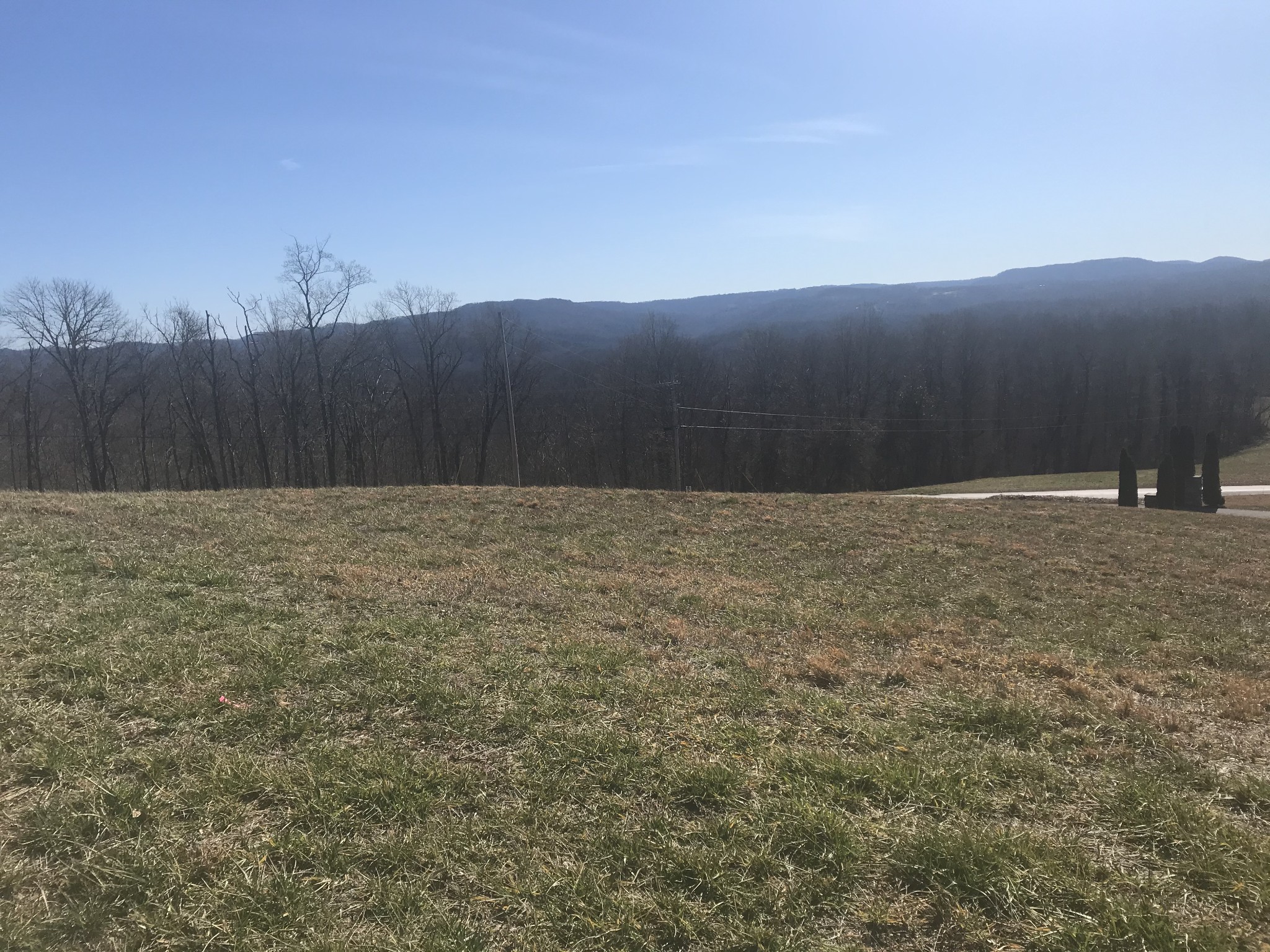9 A Swan Ridge Road Celina, TN 38551 - Photo 10 of 19 a view of potted plant in middle of green field