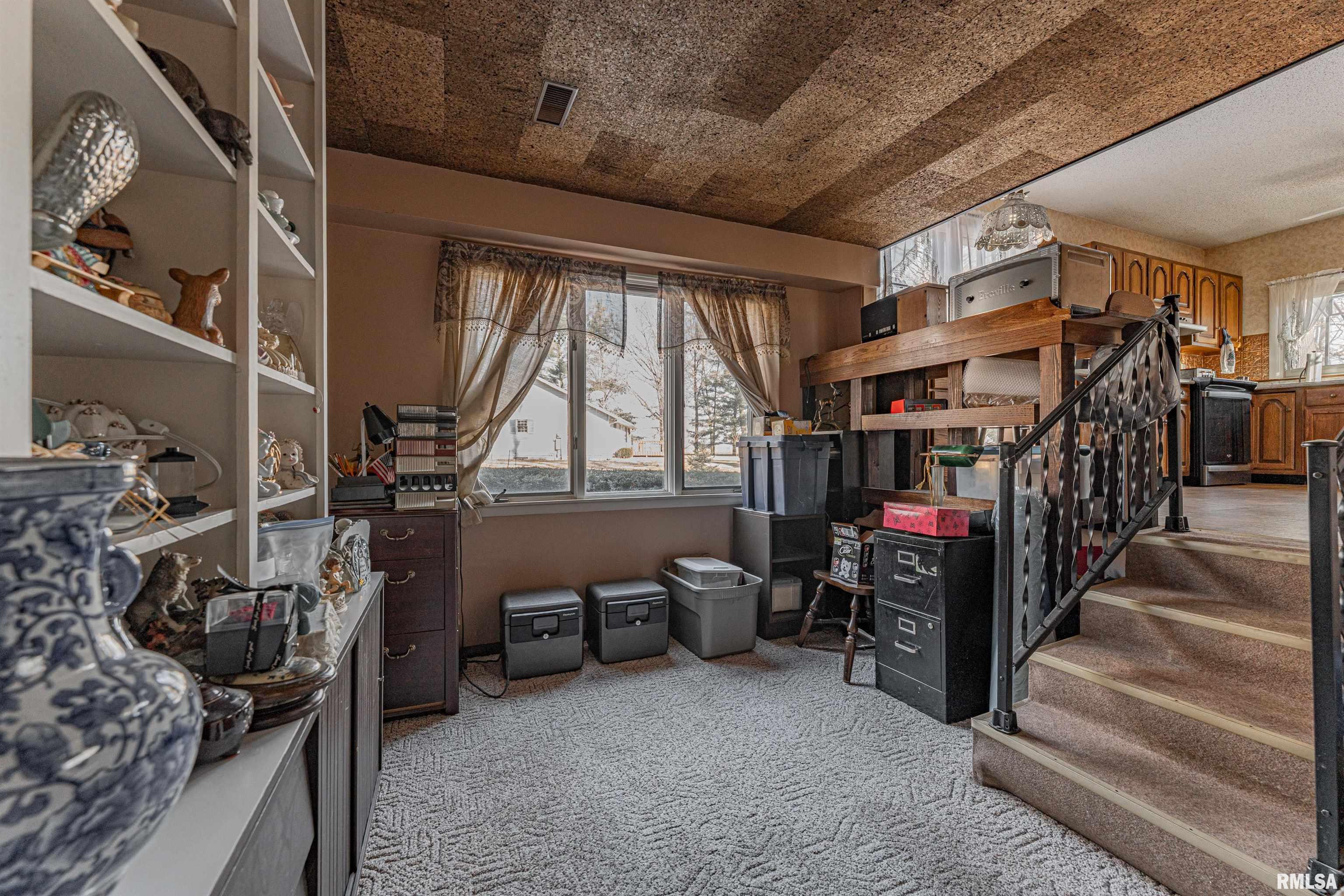 194 Timber Lane Mount Pulaski, IL 62548 - Photo 21 of 50