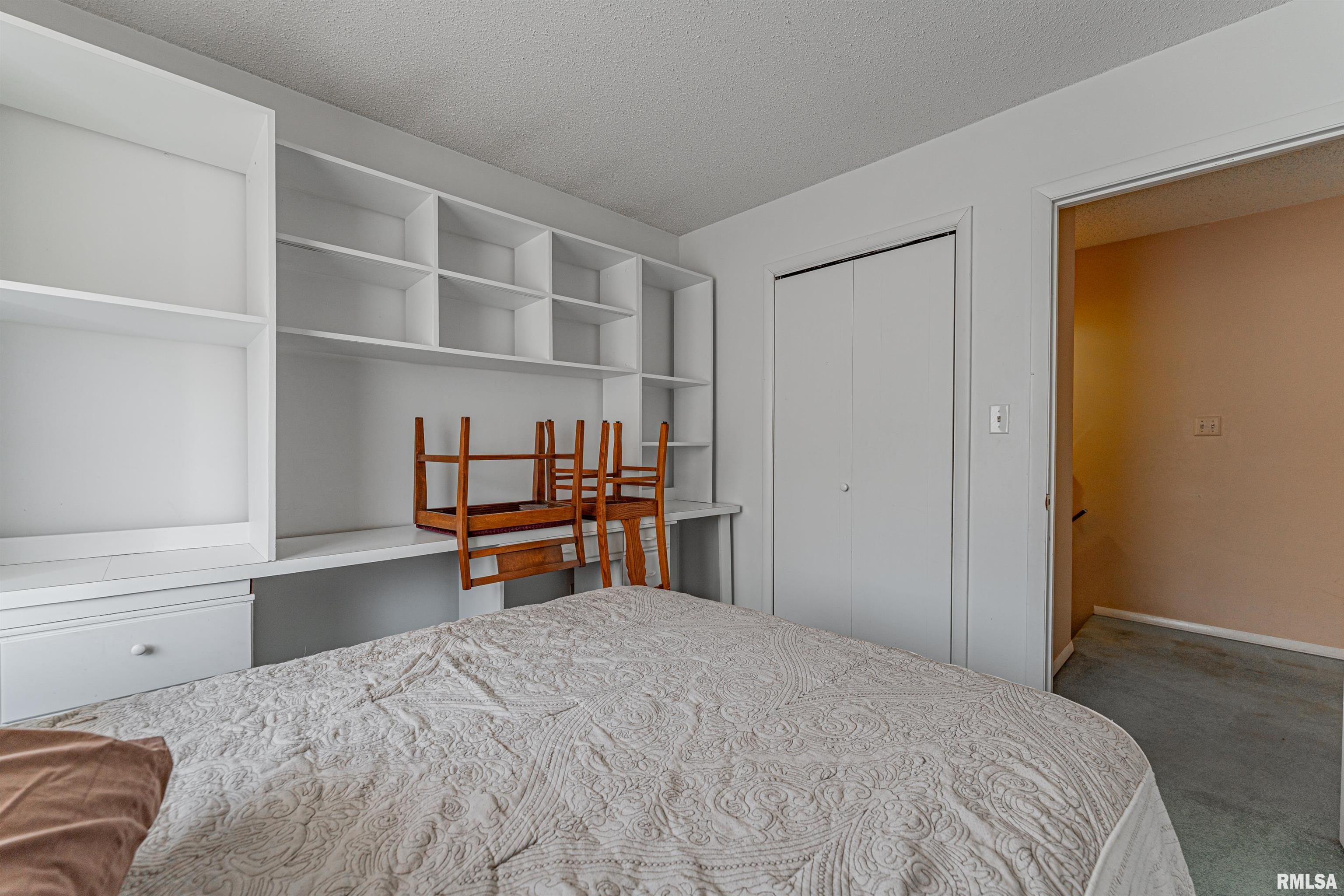 194 Timber Lane Mount Pulaski, IL 62548 - Photo 23 of 50