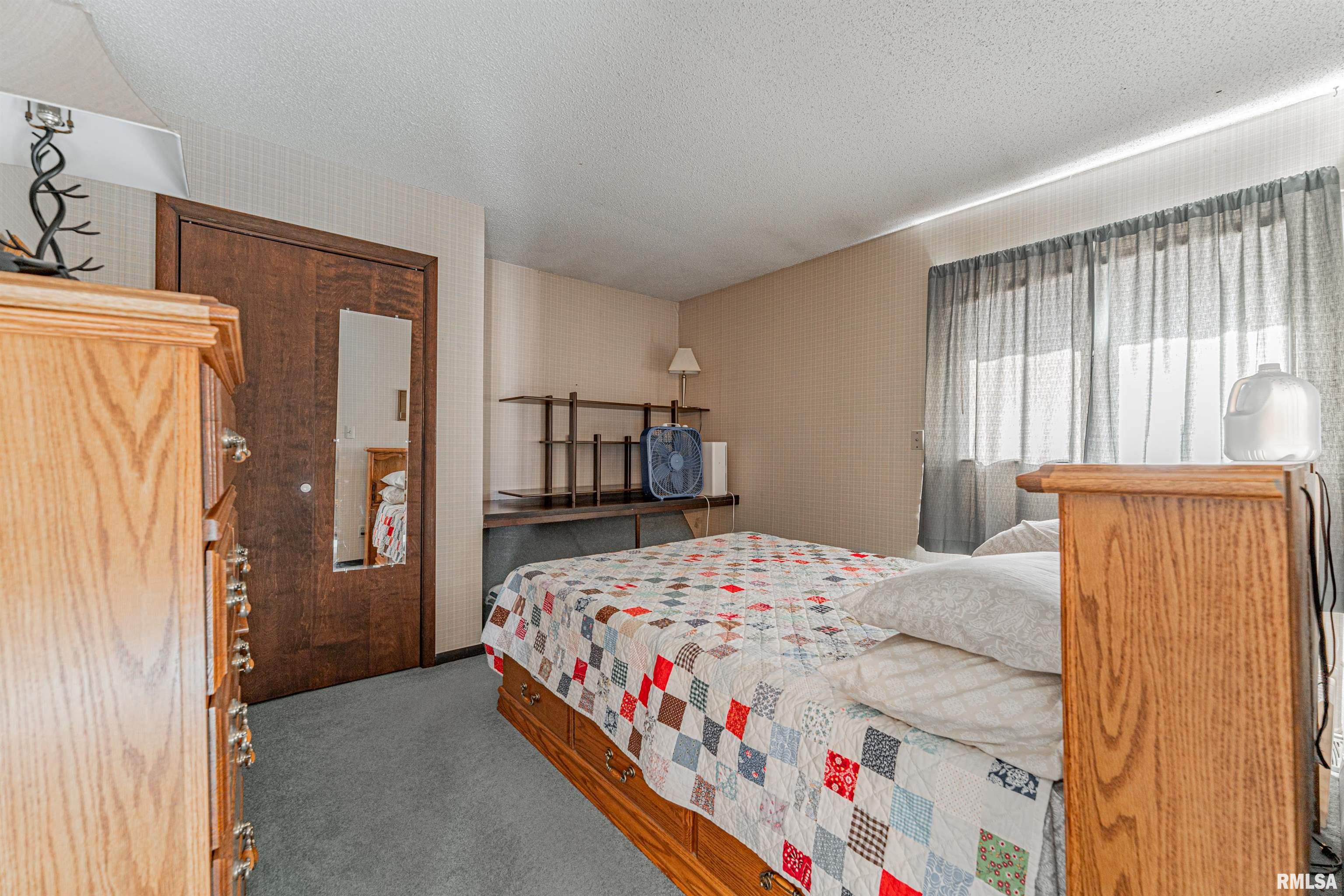 194 Timber Lane Mount Pulaski, IL 62548 - Photo 24 of 50