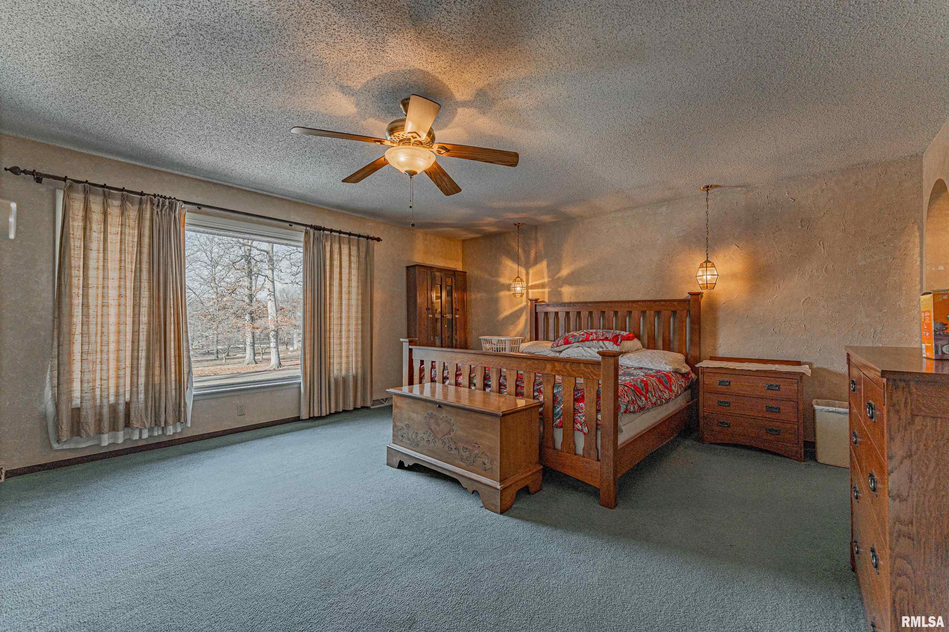 194 Timber Lane Mount Pulaski, IL 62548 - Photo 27 of 50