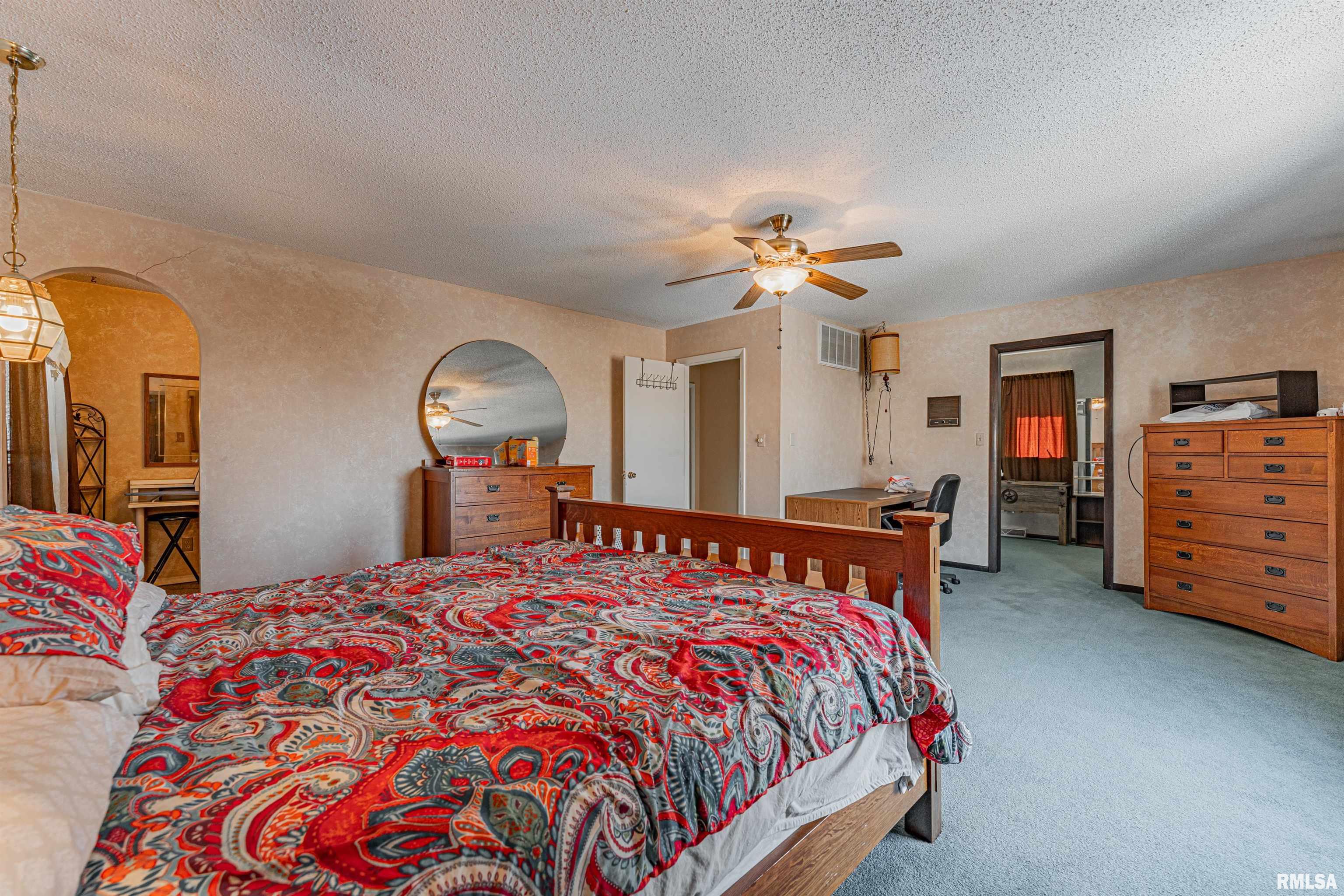 194 Timber Lane Mount Pulaski, IL 62548 - Photo 28 of 50