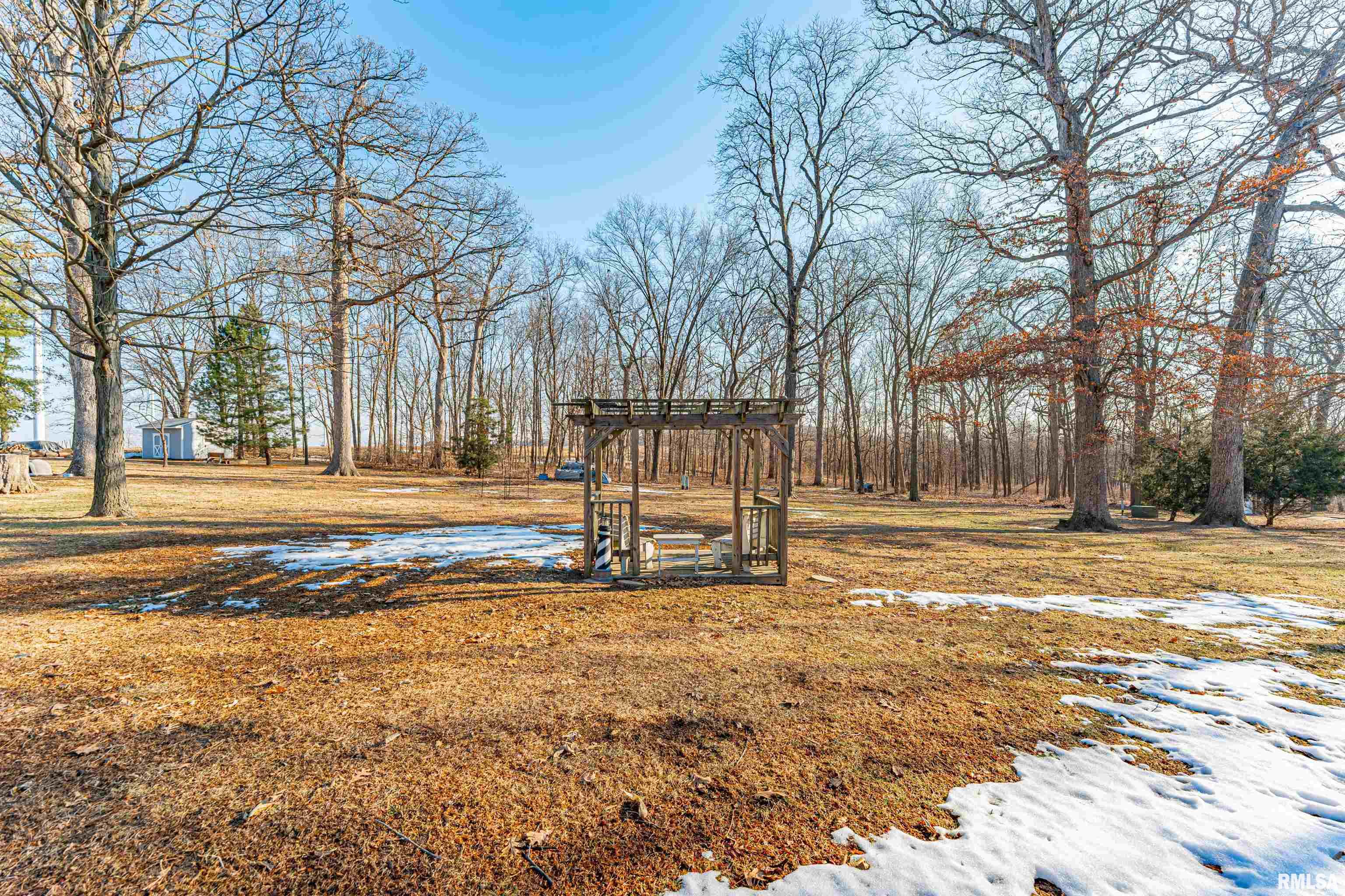 194 Timber Lane Mount Pulaski, IL 62548 - Photo 42 of 50