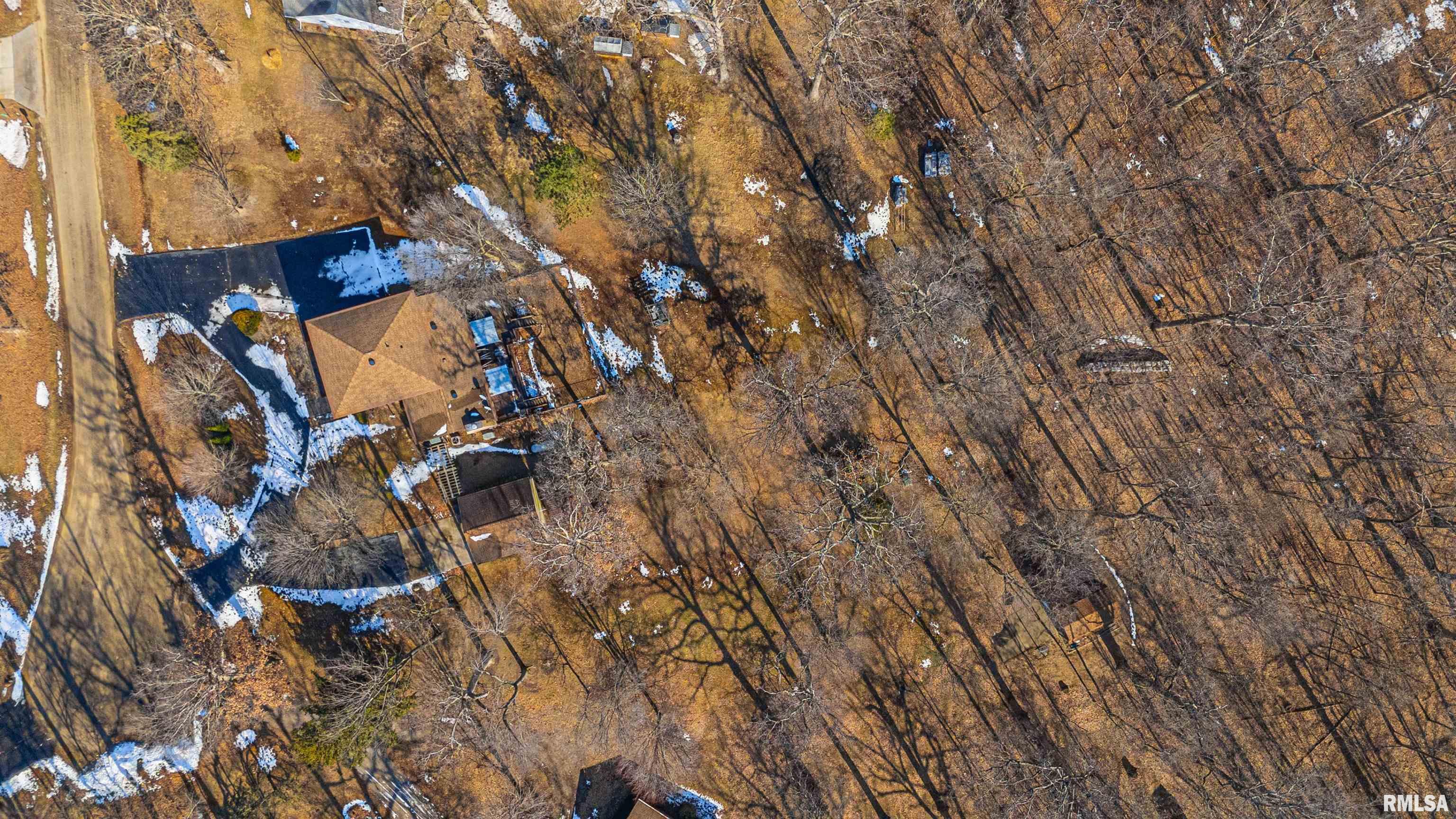 194 Timber Lane Mount Pulaski, IL 62548 - Photo 43 of 50