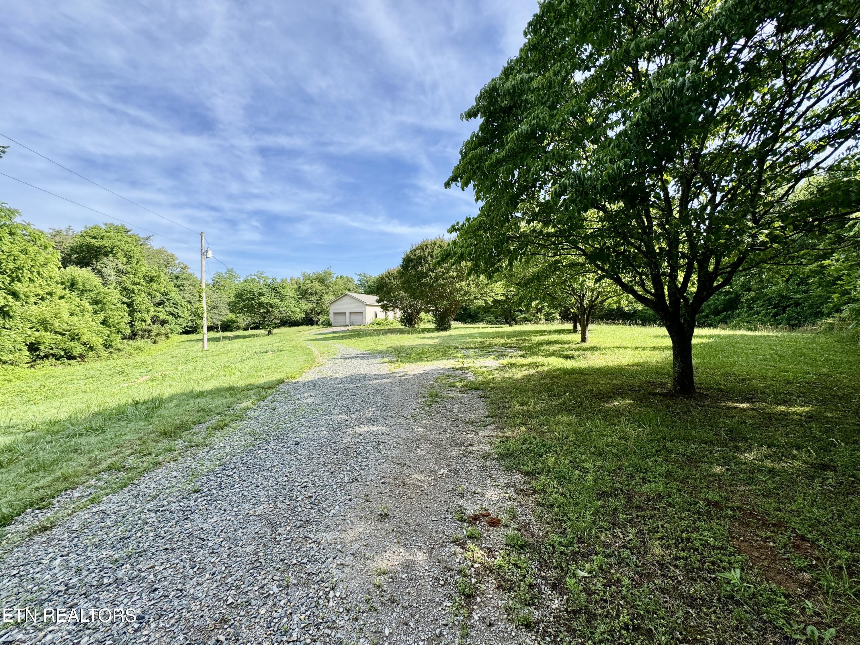 529 Peanut Road Parrottsville, TN 37843 - Photo 13 of 54 1-13