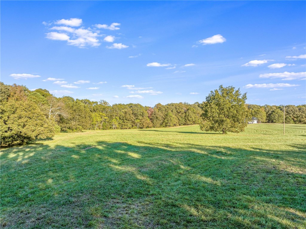 0 Reed Creek Highway Chester, SC 29706 - Photo 11 of 11 Gallery Image 11
