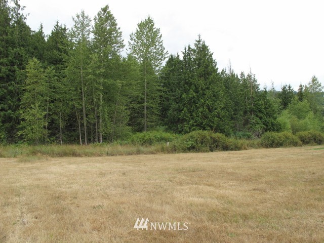 17 Morgison Loop Sequim, WA 98382 - Photo 4 of 8