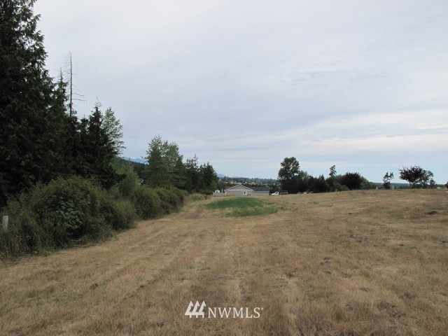 17 Morgison Loop Sequim, WA 98382 - Photo 6 of 8