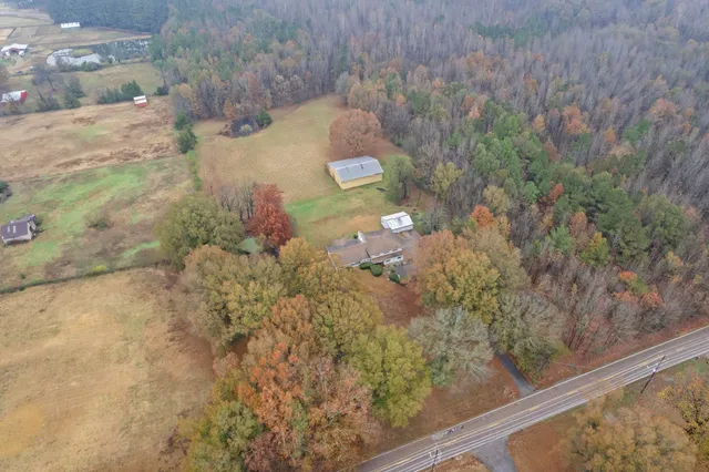 a view of a yard with a tree