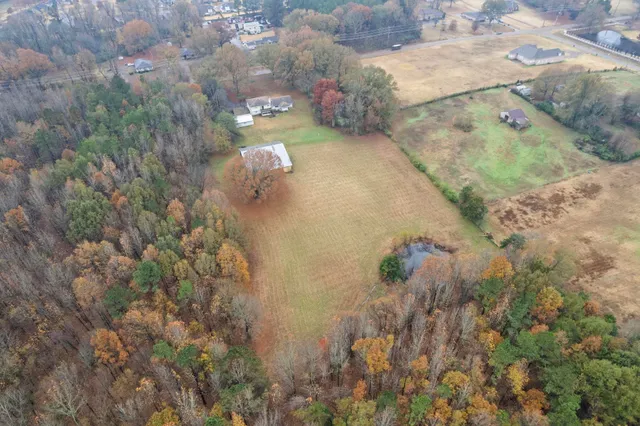 a view of a bunch of trees and bushes