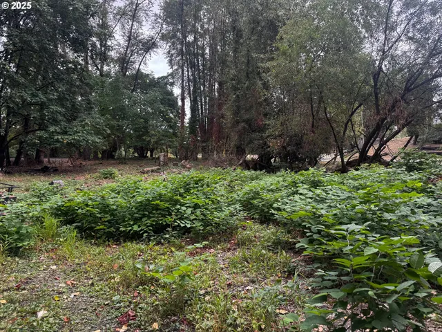 a view of yard with green space