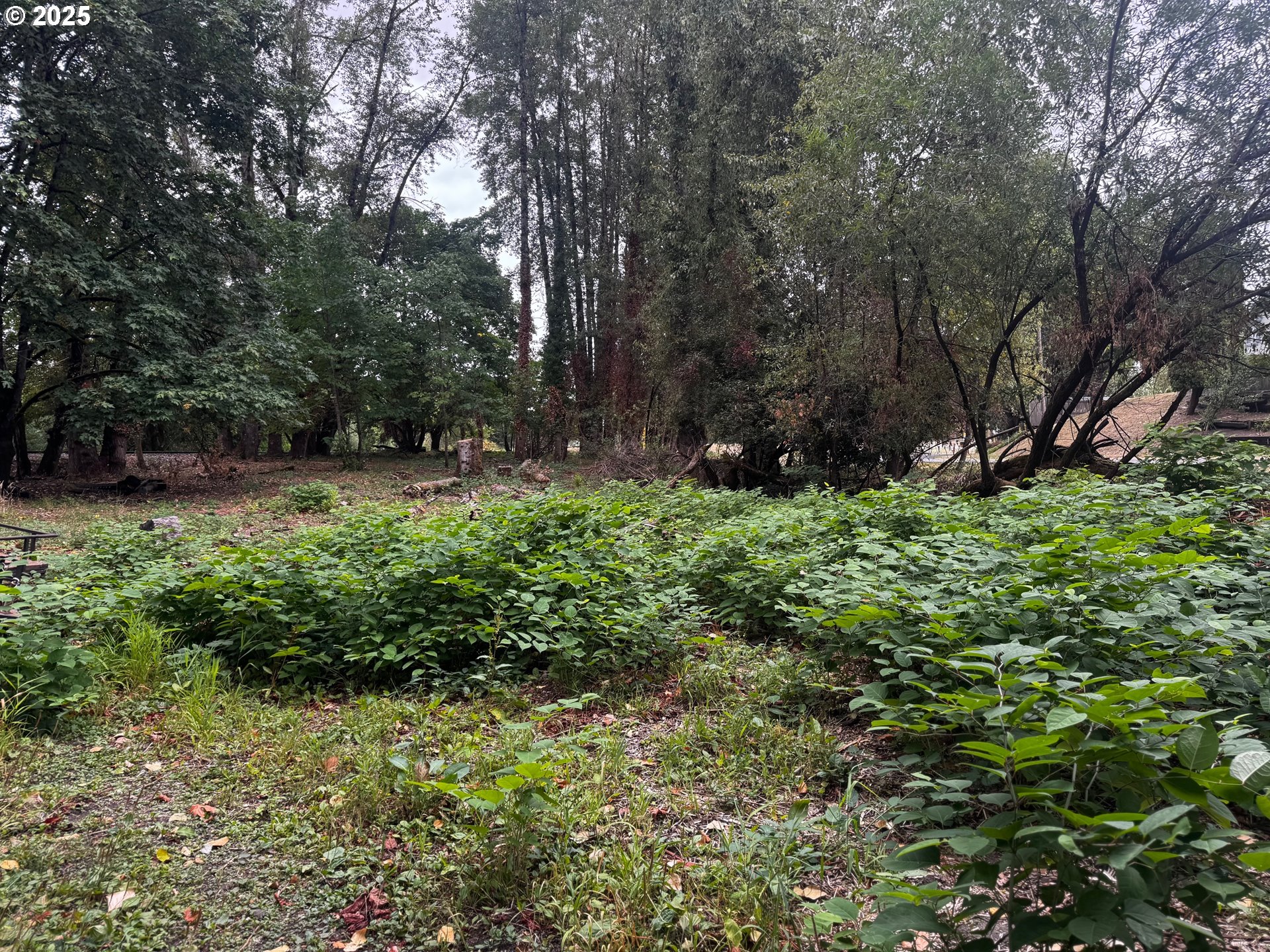 Blakely Prescott, OR 97048 - Photo 11 of 13