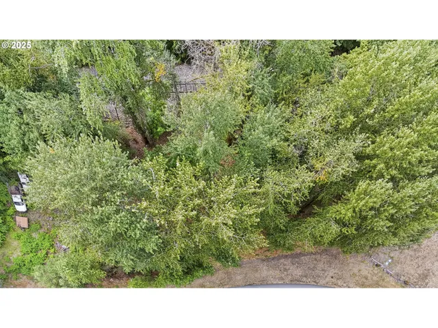 a open area with trees in the background