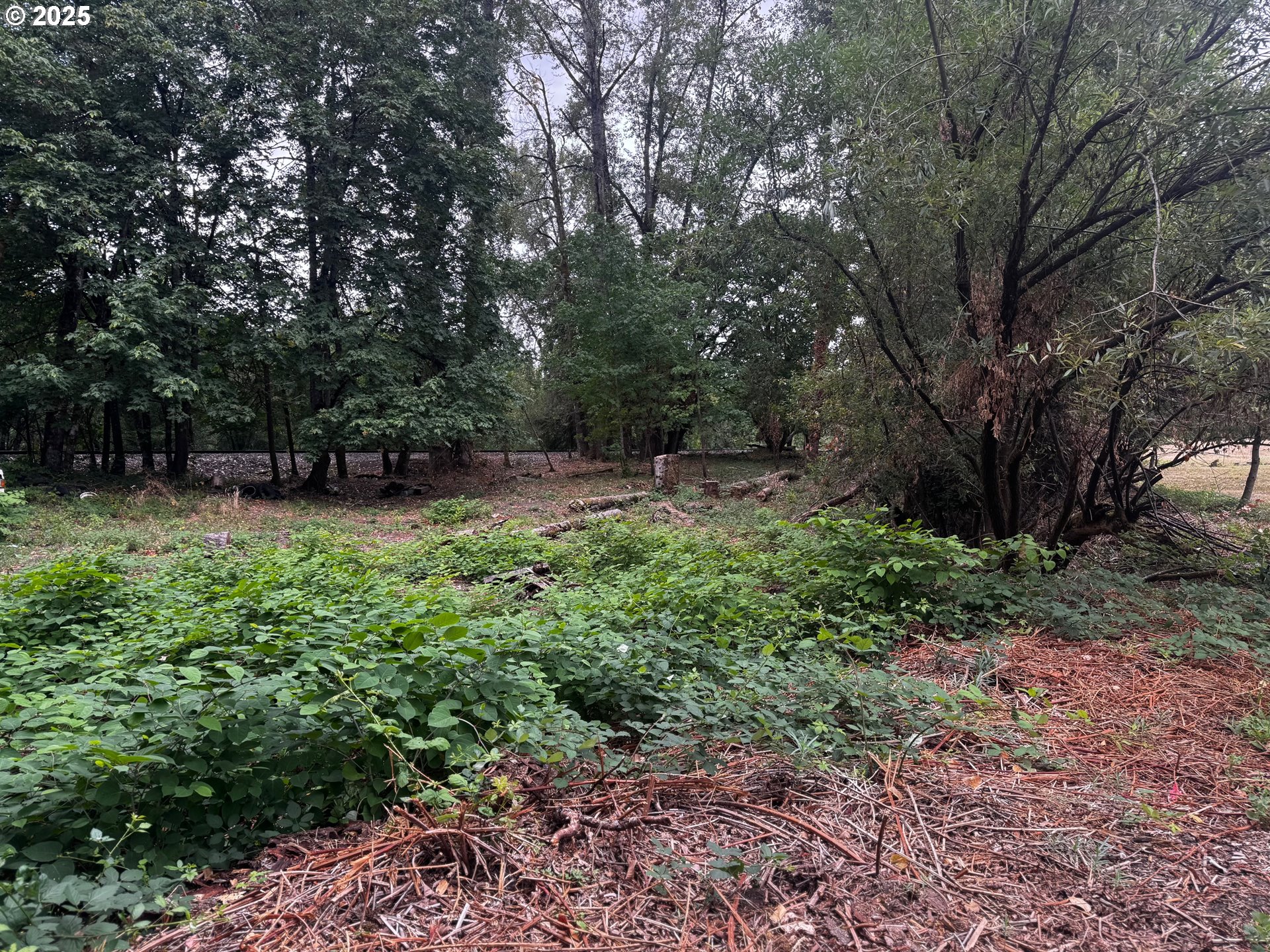 Blakely Prescott, OR 97048 - Photo 10 of 13