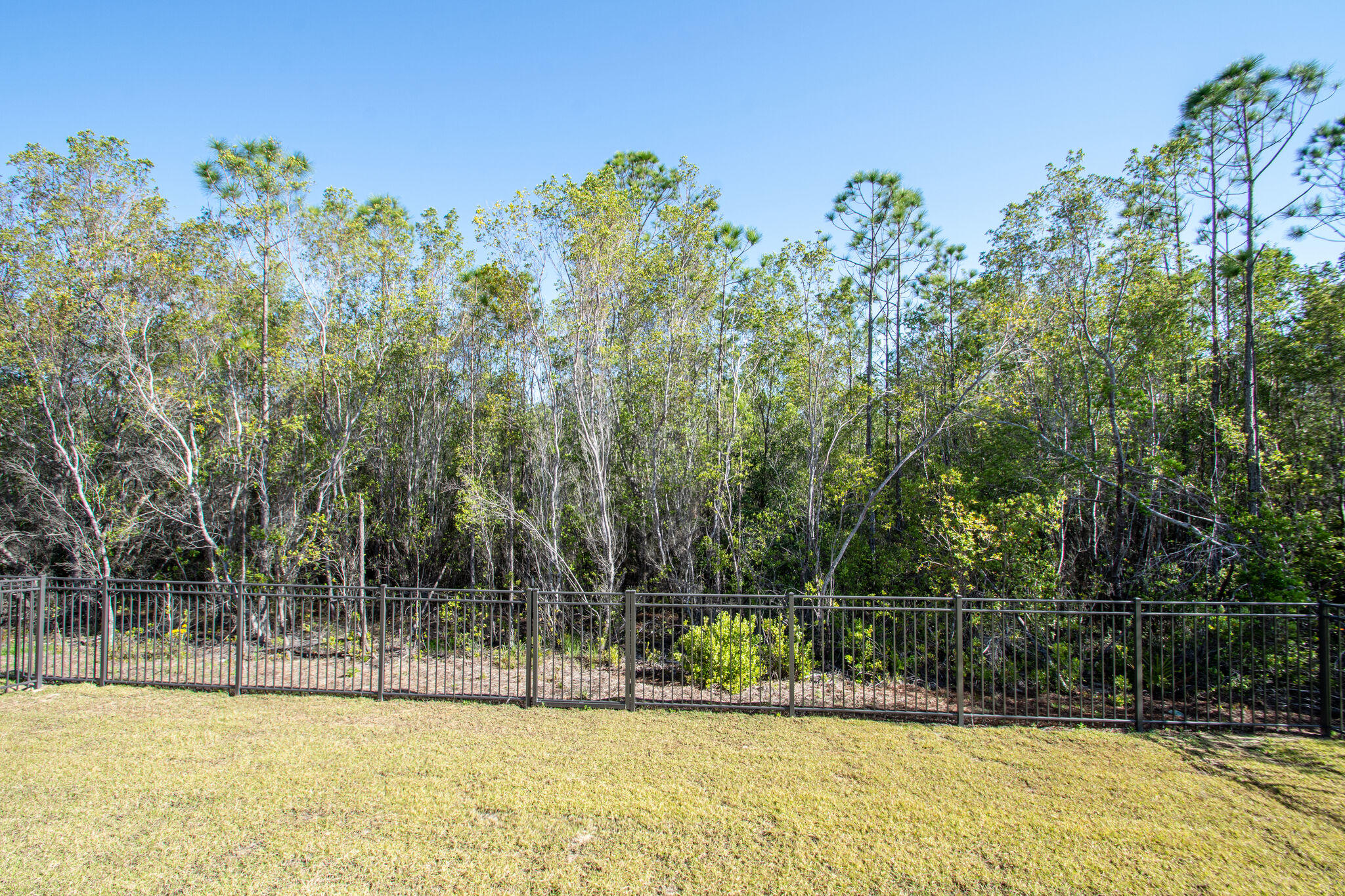 80 White Cottage Road Santa Rosa Beach, FL 32459 - Photo 35 of 44 Gallery Image 35