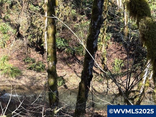0 Logsden Road Blodgett, OR 97326 - Photo 23 of 24