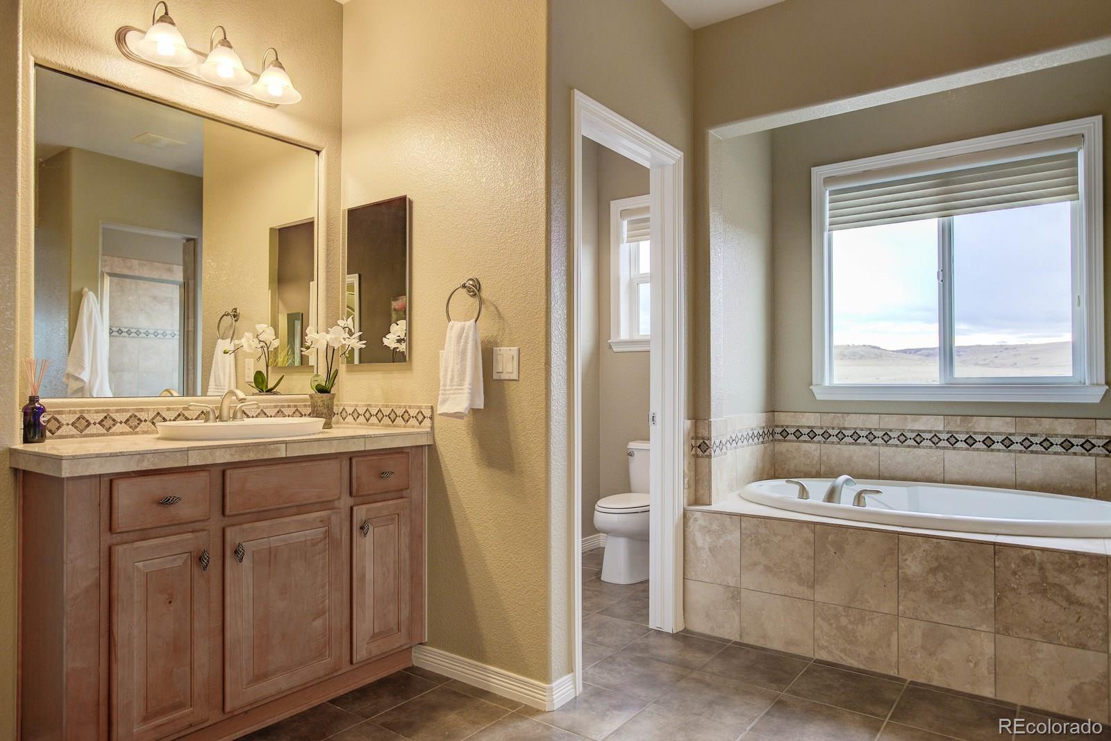 10879 Glengate Circle Highlands Ranch, CO 80130 - Photo 27 of 35 a bathroom with a tub a sink and mirror