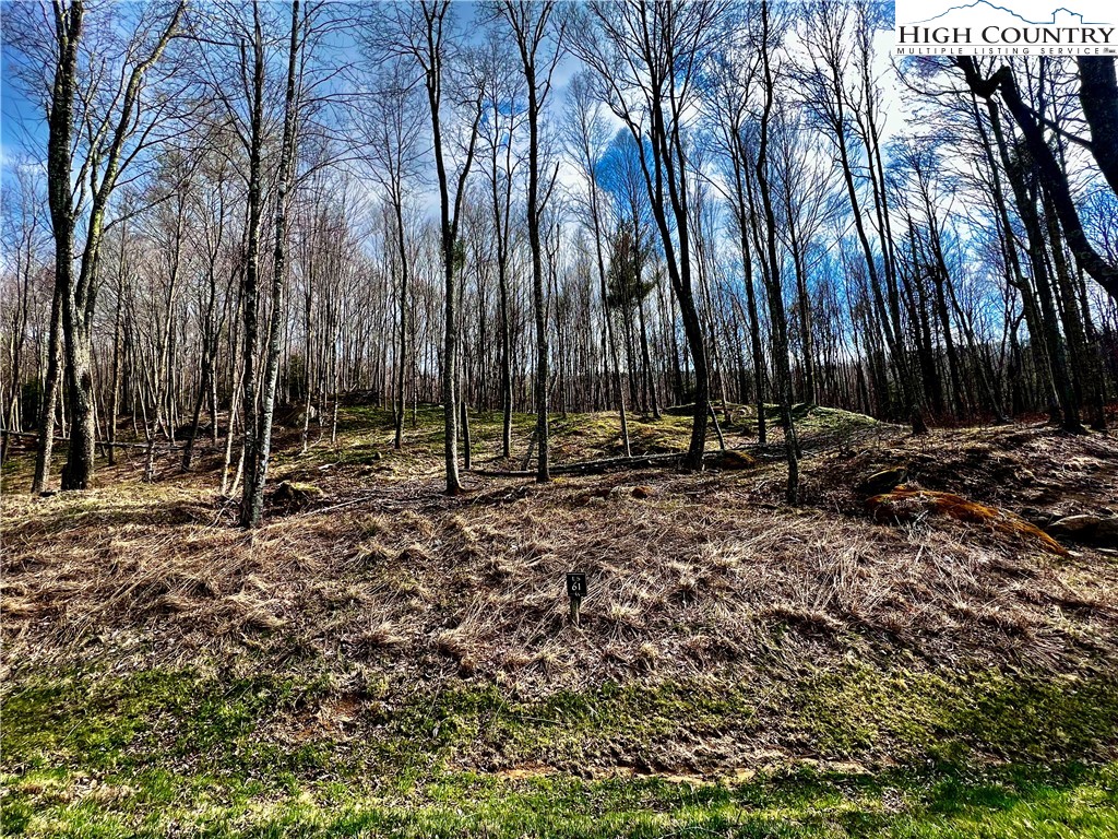 Es-61 Rippling Waters Trail Banner Elk, NC 28604 - Photo 2 of 16 a view of outdoor space with trees